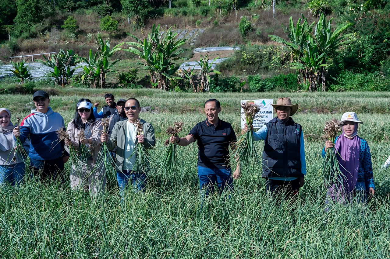 Satgas Pangan Polri Perkuat Swasembada Bawang Putih, Lahan Tanam di Sembalun Capai 534 Hektare